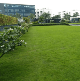 Landscape design project